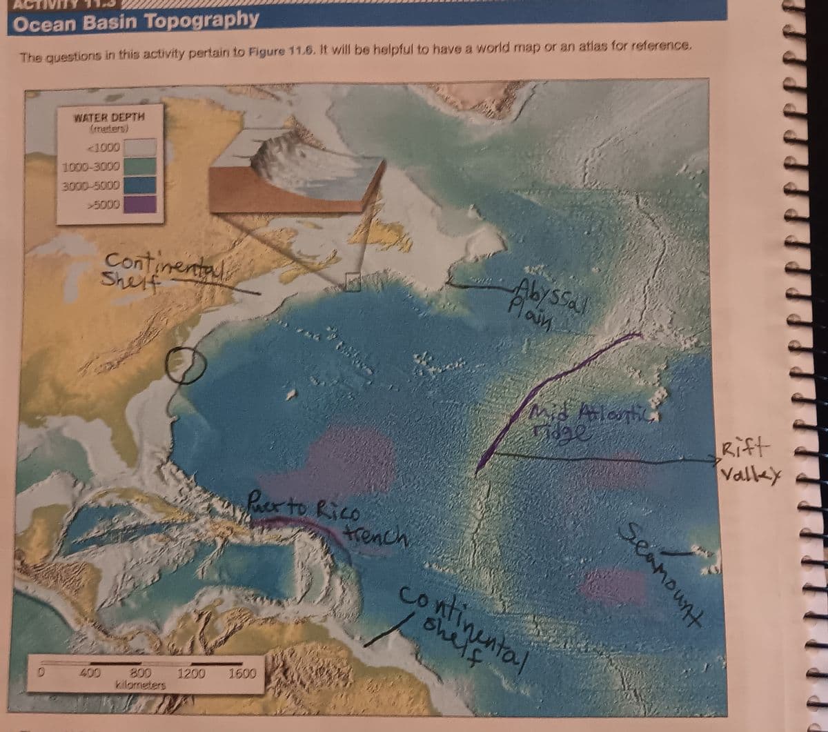 ACTIVITY
Ocean Basin Topography
The questions in this activity pertain to Figure 11.6. It will be helpful to have a world map or an atlas for reference.
WATER DEPTH
(meters)
<1000
1000-3000
3000-5000
Continental
Shelf
kilometers
1200
Puerto Rico
trench
1600
Abyssal
Plain
Mid Atlantic
Fidge
ontinental
seamount
Rift
Valley