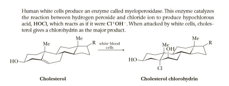 Human white cells produce an enzyme called myeloperoxidase. This enzyme catalyzes
the reaction between hydrogen peroxide and chloride ion to produce hypochlorous
acid, HOCI, which reacts as if it were Cl*OH . When attacked by white cells, choles-
terol gives a chlorohydrin as the major product.
Me
Me
R white blood
cells
Me
R
Me
| OH/
НО
HO-
CI
Cholesterol
Cholesterol chlorohydrin
