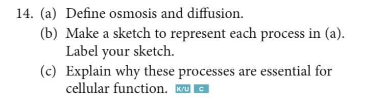 14. (a) Define osmosis and diffusion.
(b) Make a sketch to represent each process in (a).
Label your sketch.
(c) Explain why these processes are essential for
cellular function. Ku C
