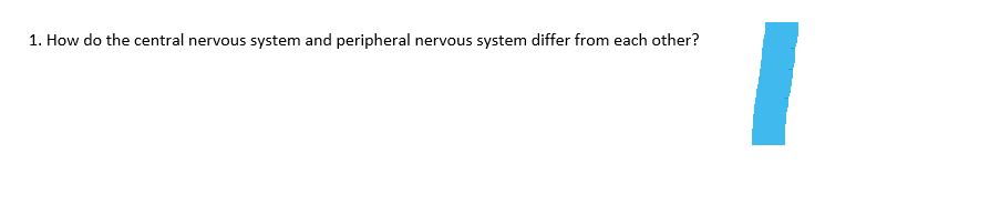 1. How do the central nervous system and peripheral nervous system differ from each other?
I