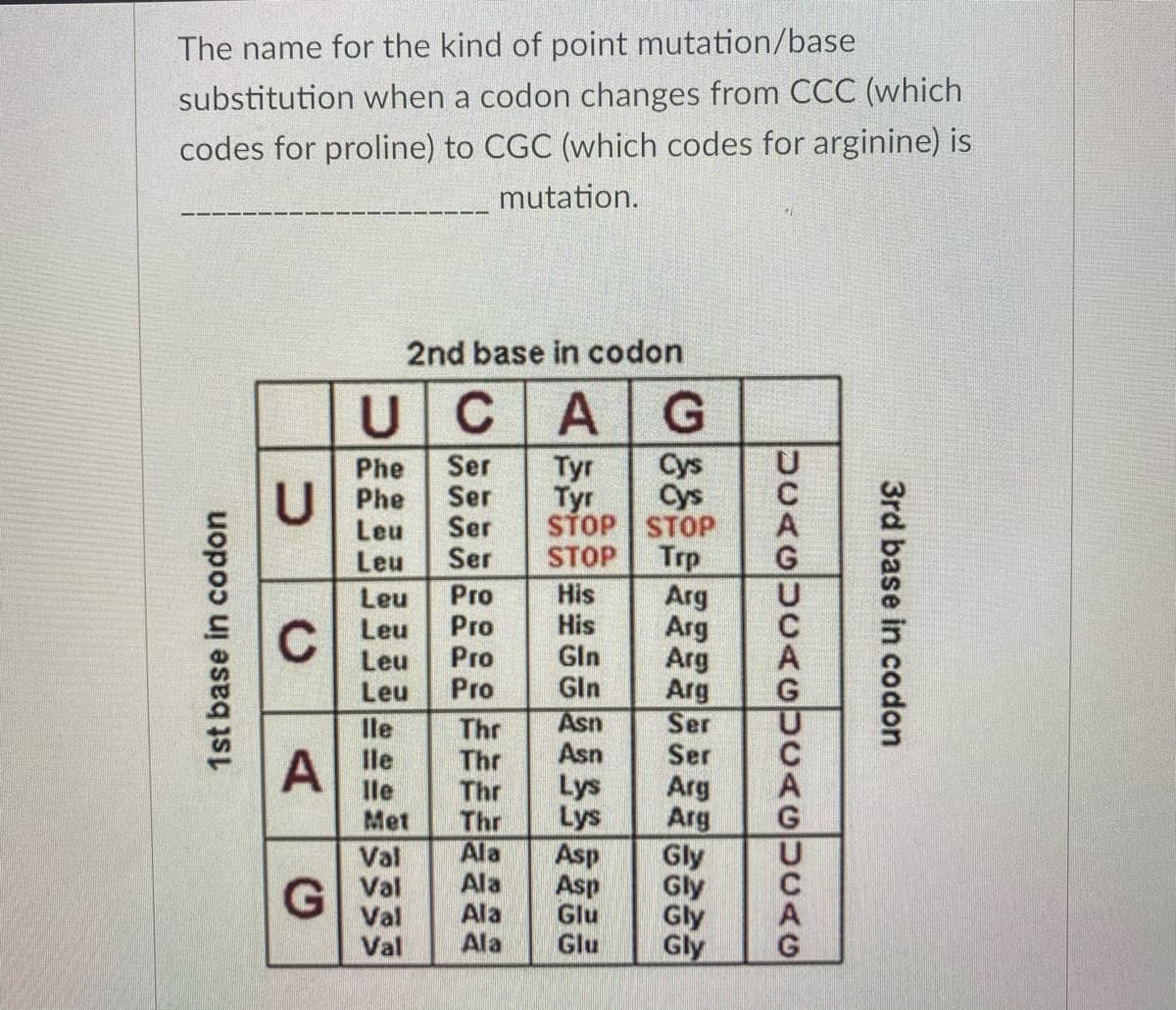 The name for the kind of point mutation/base
substitution when a codon changes from CCC (which
codes for proline) to CGC (which codes for arginine) is
mutation.
2nd base in codon
U
CAG
Cys
Cys
STOP STOP
Trp
Arg
Arg
Arg
Arg
Ser
Ser
Arg
Arg
Gly
Gly
Gly
Gly
Phe
U Phe
Leu
Leu
Ser
Ser
Ser
Ser
Tyr
Tyr
STOP
Leu
Leu
Leu
Leu
Pro
Pro
Pro
Pro
His
His
Gln
Gln
C
Asn
Asn
lle
lle
lle
Met
Thr
Thr
Thr
Thr
Ala
Ala
Ala
Ala
Lys
Lys
Asp
Asp
Glu
Glu
Val
Val
Val
Val
3rd base in codon
DCAGUCAGUCAGUCAG
1st base in codon
