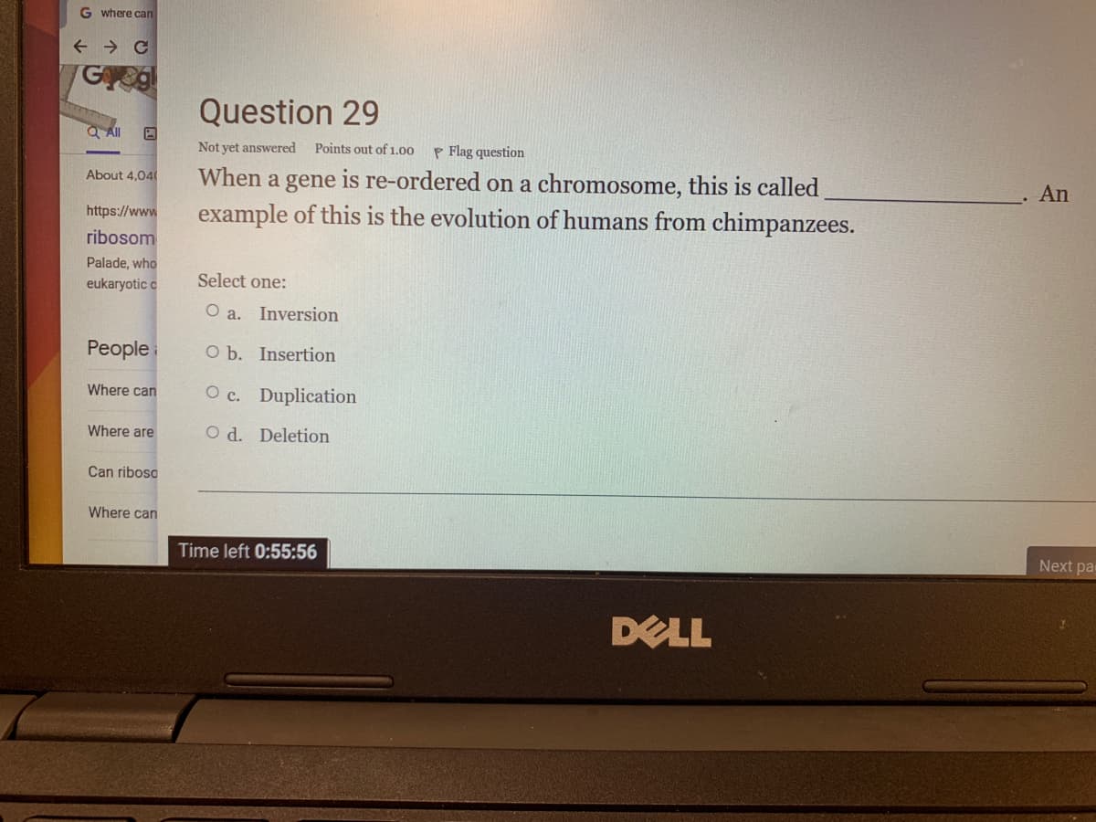 G where can
Question 29
Not yet answered
Points out of1.00
P Flag question
When a gene is re-ordered on a chromosome, this is called
example of this is the evolution of humans from chimpanzees.
About 4,04
An
https://www
ribosom
Palade, who
Select one:
eukaryotic c
O a. Inversion
People
O b. Insertion
Where can
O c. Duplication
Where are
O d. Deletion
Can riboso
Where can
Time left 0:55:56
Next pa
DELL
