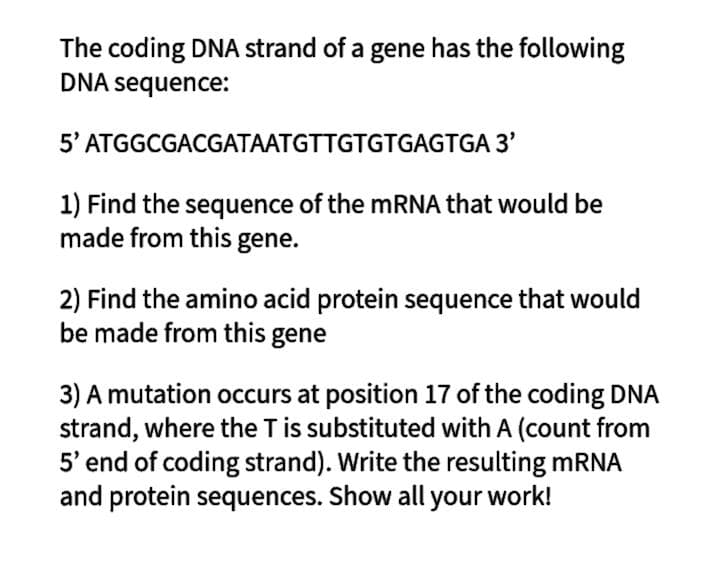The coding DNA strand of a gene has the following
DNA sequence:
5' ATGGCGACGATAATGTTGTGTGAGTGA 3'
1) Find the sequence of the MRNA that would be
made from this gene.
2) Find the amino acid protein sequence that would
be made from this gene
3) A mutation occurs at position 17 of the coding DNA
strand, where the Tis substituted with A (count from
5' end of coding strand). Write the resulting mRNA
and protein sequences. Show all your work!
