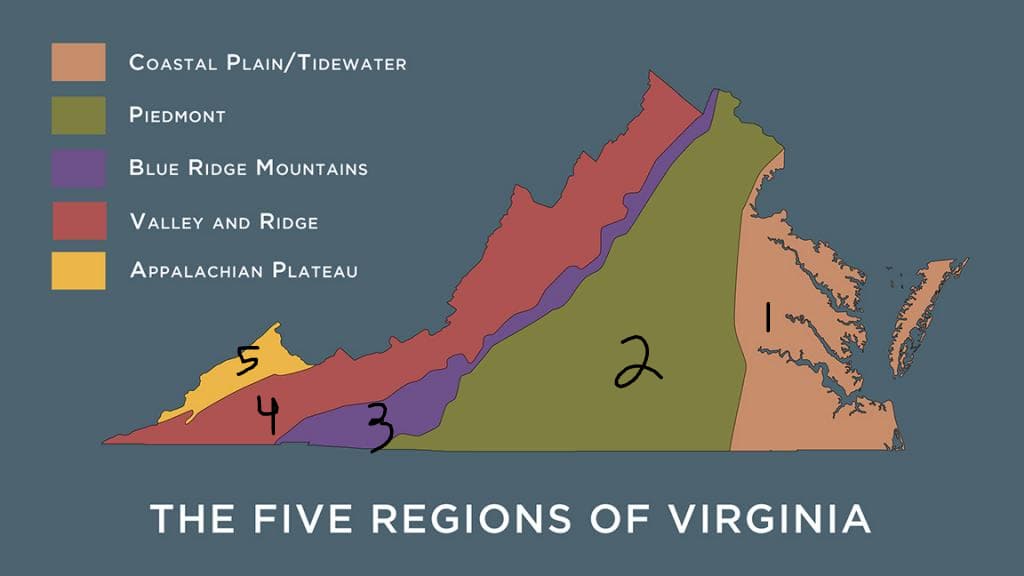 COASTAL PLAIN/TIDEWATER
PIEDMONT
BLUE RIDGE MOUNTAINS
VALLEY AND RIDGE
APPALACHIAN PLATEAU
4
2
1
THE FIVE REGIONS OF VIRGINIA