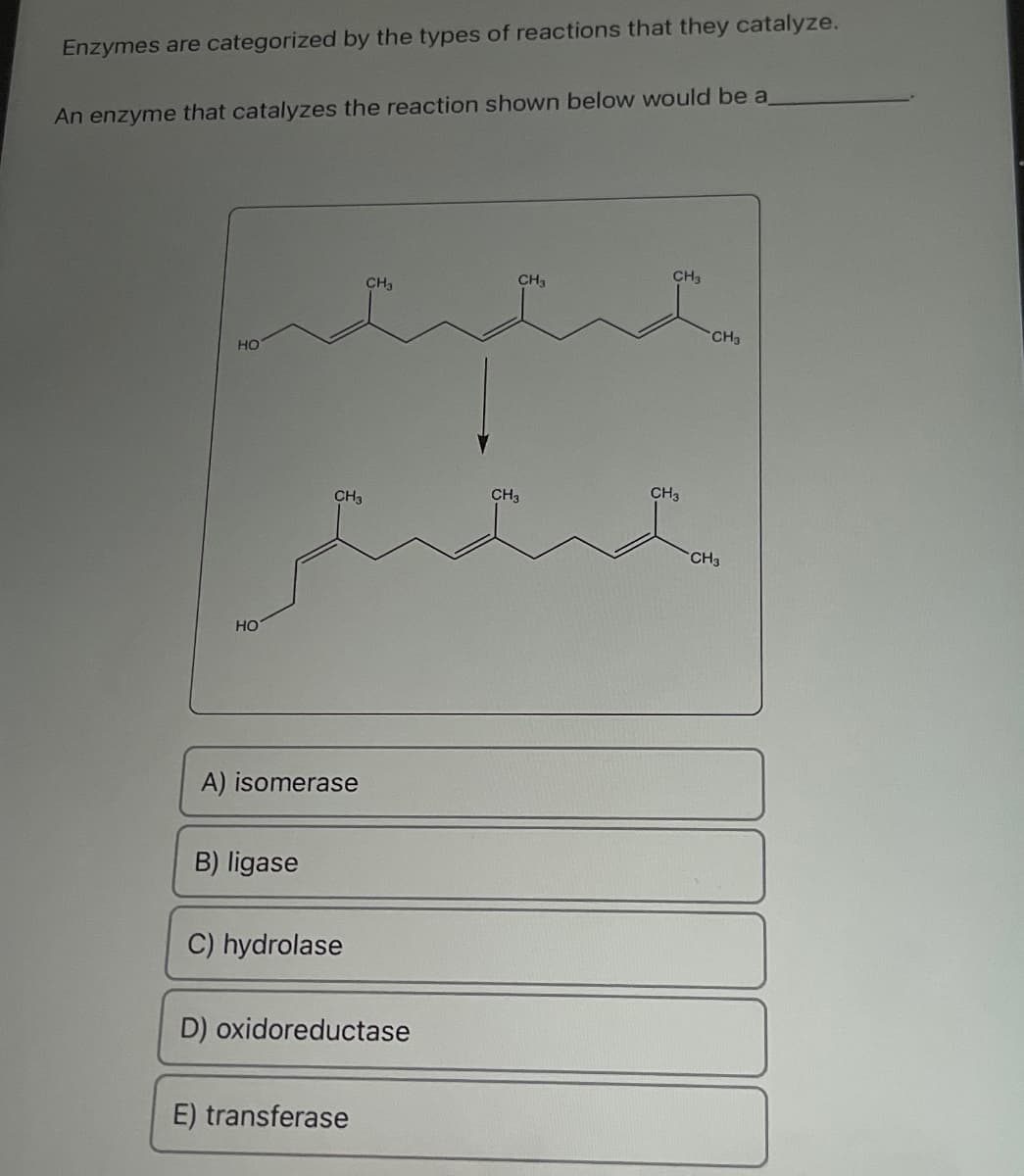 Enzymes are categorized by the types of reactions that they catalyze.
An enzyme that catalyzes the reaction shown below would be a
HO
HO
CH3
مصر
A) isomerase
B) ligase
C) hydrolase
CH3
D) oxidoreductase
E) transferase
CH3
CH3
CH3
CH3
CH3
CH3