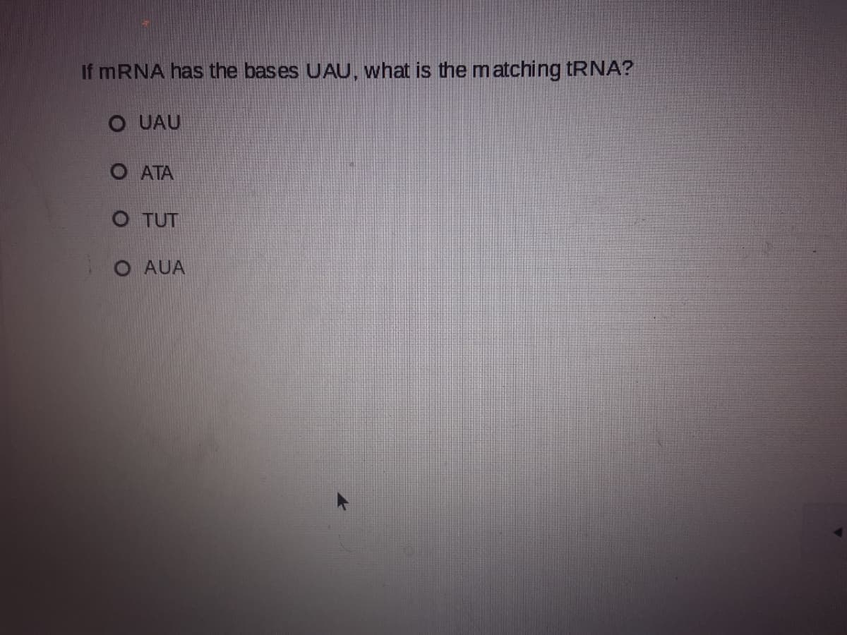 If MRNA has the bases UAU, what is the m atching tRNA?
O UAU
O ATA
O TUT
O AUA
