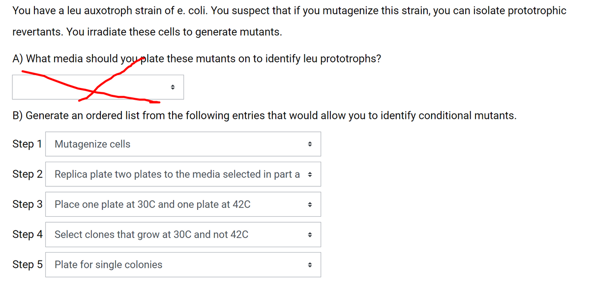 You have a leu auxotroph strain of e. coli. You suspect that if you mutagenize this strain, you can isolate prototrophic
revertants. You irradiate these cells to generate mutants.
A) What media should you plate these mutants on to identify leu prototrophs?
B) Generate an ordered list from the following entries that would allow you to identify conditional mutants.
Step 1
Mutagenize cells
Step 2 Replica plate two plates to the media selected in part a
Step 3 Place one plate at 3ọC and one plate at 42C
Step 4 Select clones that grow at 30C and not 42C
Step 5 Plate for single colonies
