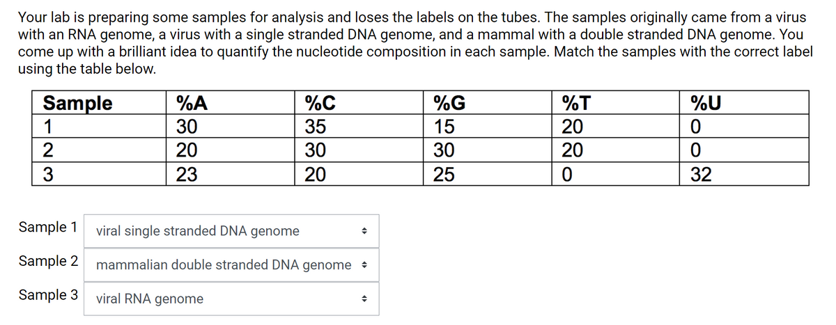 Your lab is preparing some samples for analysis and loses the labels on the tubes. The samples originally came from a virus
with an RNA genome, a virus with a single stranded DNA genome, and a mammal with a double stranded DNA genome. You
come up with a brilliant idea to quantify the nucleotide composition in each sample. Match the samples with the correct label
using the table below.
%C
%G
%T
%U
Sample
1
%A
30
35
15
20
20
30
30
20
3
23
20
25
32
Sample 1
viral single stranded DNA genome
Sample 2
mammalian double stranded DNA genome +
Sample 3
viral RNA genome
