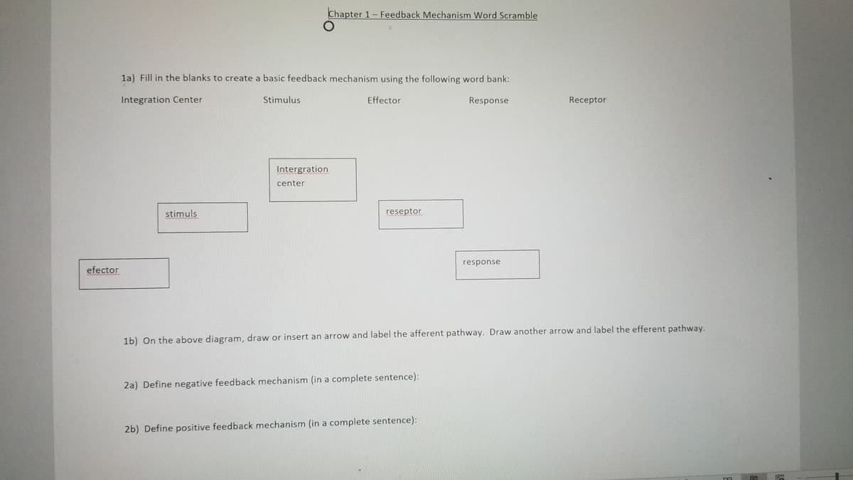 Chapter 1- Feedback Mechanism Word Scramble
1a) Fill in the blanks to create a basic feedback mechanism using the following word bank:
Integration Center
Stimulus
Effector
Response
Receptor
Intergration
center
stimuls
reseptor
response
efector
1b) On the above diagram, draw or insert an arrow and label the afferent pathway. Draw another arrow and label the efferent pathway.
2a) Define negative feedback mechanism (in a complete sentence):
2b) Define positive feedback mechanism (in a complete sentence):
