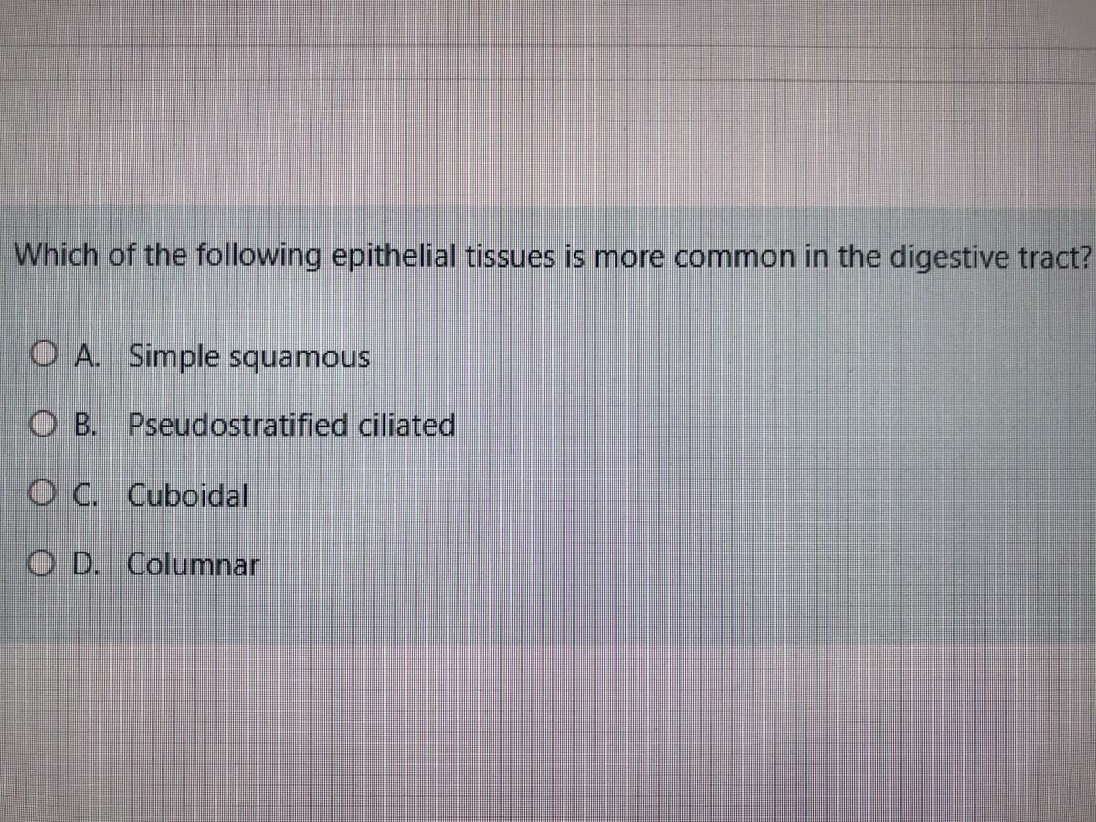 Which of the following epithelial tissues is more common in the digestive tract?
O A. Simple squamous
O B. Pseudostratified ciliated
O C. Cuboidal
O D. Columnar
