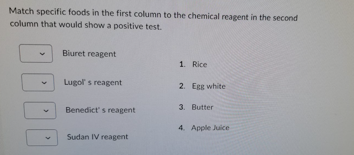 Match specific foods in the first column to the chemical reagent in the second
column that would show a positive test.
00
Biuret reagent
Lugol's reagent
Benedict's reagent
Sudan IV reagent
1. Rice
2. Egg white
3. Butter
4. Apple Juice