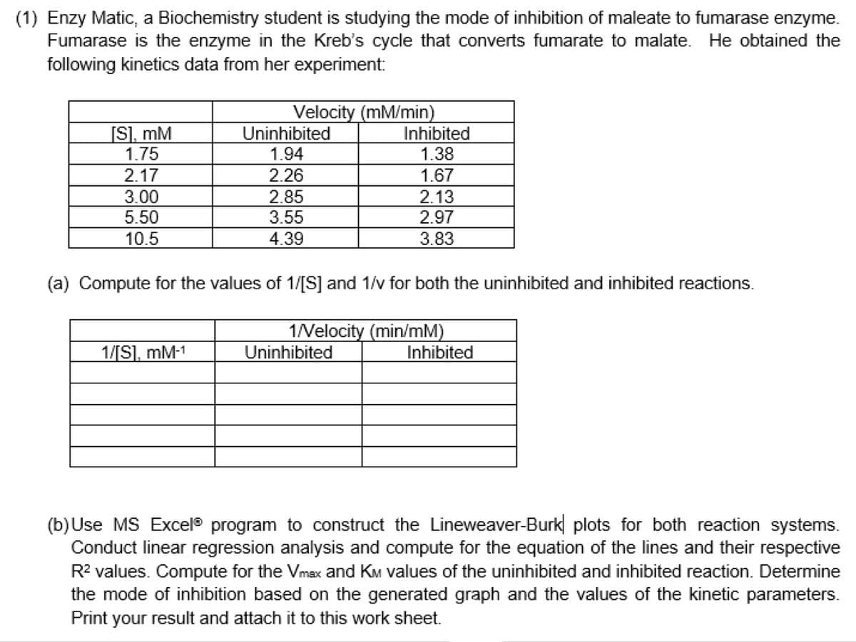 (1) Enzy Matic, a Biochemistry student is studying the mode of inhibition of maleate to fumarase enzyme.
Fumarase is the enzyme in the Kreb's cycle that converts fumarate to malate. He obtained the
following kinetics data from her experiment:
Velocity (mM/min)
[S], mM
Uninhibited
Inhibited
1.75
1.94
1.38
2.17
2.26
1.67
3.00
2.85
2.13
5.50
3.55
2.97
10.5
4.39
3.83
(a) Compute for the values of 1/[S] and 1/v for both the uninhibited and inhibited reactions.
1/Velocity (min/mM)
Uninhibited
1/[S], mM-1
Inhibited
(b) Use MS Excel® program to construct the Lineweaver-Burk plots for both reaction systems.
Conduct linear regression analysis and compute for the equation of the lines and their respective
R² values. Compute for the Vmax and KM values of the uninhibited and inhibited reaction. Determine
the mode of inhibition based on the generated graph and the values of the kinetic parameters.
Print your result and attach it to this work sheet.