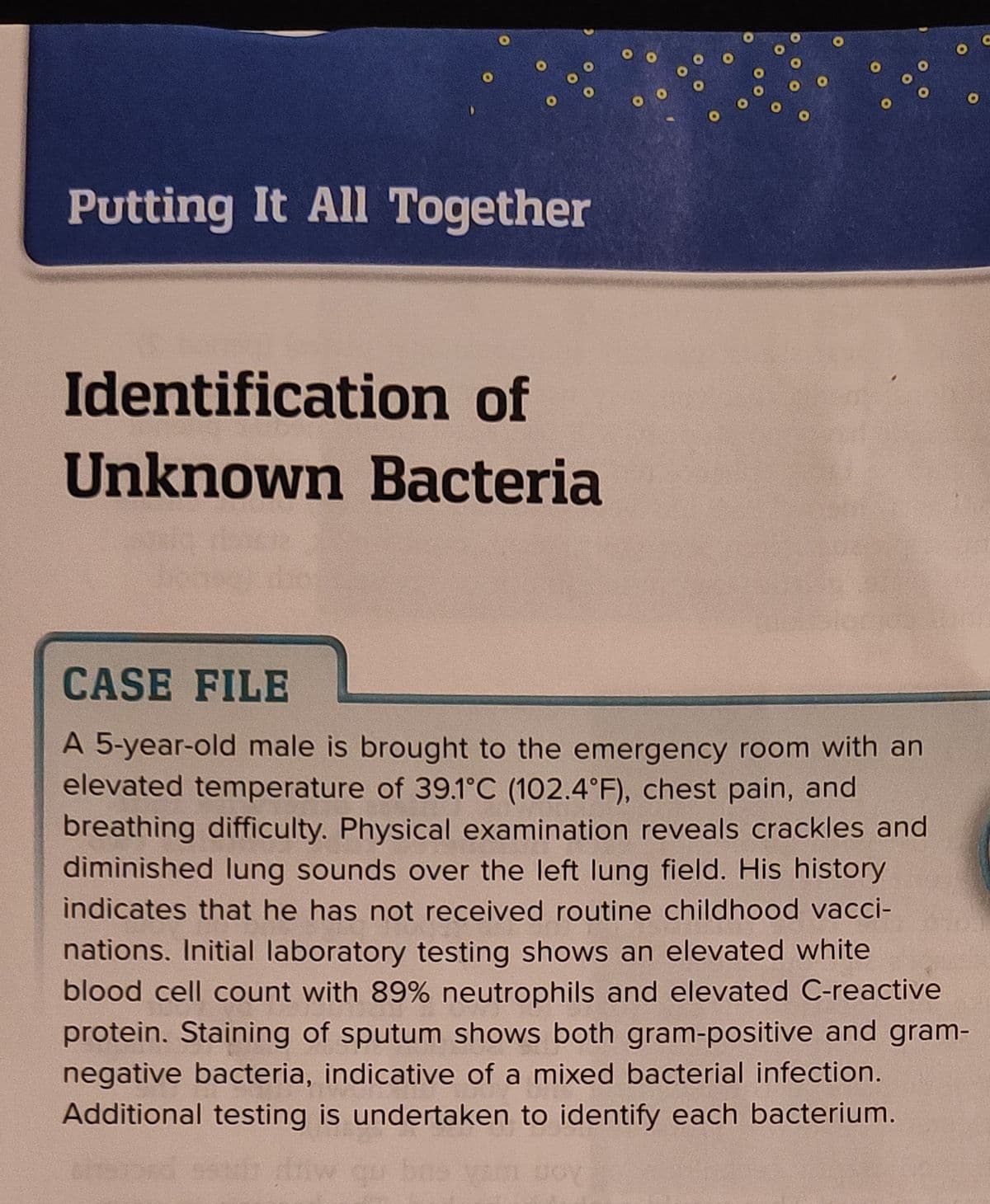 Putting It All Together
Identification of
Unknown Bacteria
o.
O
OOO
O
CASE FILE
A 5-year-old male is brought to the emergency room with an
elevated temperature of 39.1°C (102.4°F), chest pain, and
breathing difficulty. Physical examination reveals crackles and
diminished lung sounds over the left lung field. His history
indicates that he has not received routine childhood vacci-
nations. Initial laboratory testing shows an elevated white
blood cell count with 89% neutrophils and elevated C-reactive
protein. Staining of sputum shows both gram-positive and gram-
negative bacteria, indicative of a mixed bacterial infection.
Additional testing is undertaken to identify each bacterium.
C