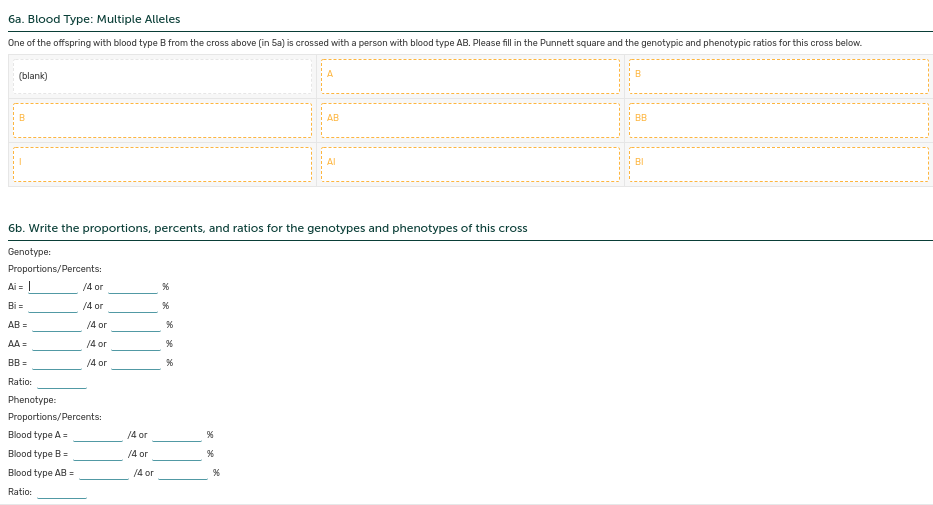 6a. Blood Type: Multiple Alleles
One of the offspring with blood type B from the cross above (in 5a) is crossed with a person with blood type AB. Please fill in the Punnett square and the genotypic and phenotypic ratios for this cross below.
(blank)
AB
BB
Al
BI
6b. Write the proportions, percents, and ratios for the genotypes and phenotypes of this cross
Genotype:
Proportions/Percents:
Ai = |
/4 or
Bi =
/4 or
AB =
/4 or
AA =
/4 or
BB =
/4 or
Ratio:
Phenotype:
Proportions/Percents:
Blood type A =
14 or
Blood type B=
/4 or
Blood type AB =
14 or
Ratio:
