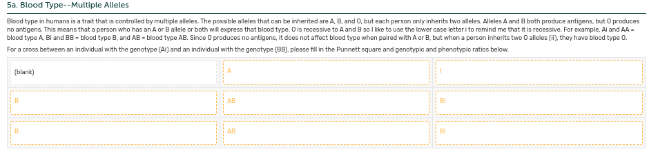 5a. Blood Type--Multiple Alleles
Blood type in humans is a trait that is controlled by multiple alleles. The possible alleles that can be inherited are A, B, and 0, but each person only inherits two alleles. Alleles A and B both produce antigens, but O produces
no antigens. This means that a person who has an A or B allele or both will express that blood type. O is recessive to A and B so I like to use the lower case letteri to remind me that it is recessive. For example, Ai and AA =
blood type A, Bi and BB = blood type B, and AB = blood type AB. Since O produces no antigens, it does not affect blood type when paired with A or B, but when a person inherits two O alleles (ii), they have blood type 0.
For a cross between an individual with the genotype (Ai) and an individual with the genotype (BB), please fillin the Punnett square and genotypic and phenotypic ratios below.
(blank)
B
AB
BI
АВ
BI
