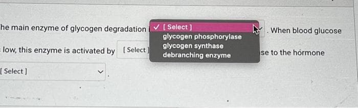 the main enzyme of glycogen degradation
low, this enzyme is activated by [Select]
[Select]
✓ [Select]
glycogen phosphorylase
glycogen synthase
debranching enzyme
When blood glucose
se to the hormone