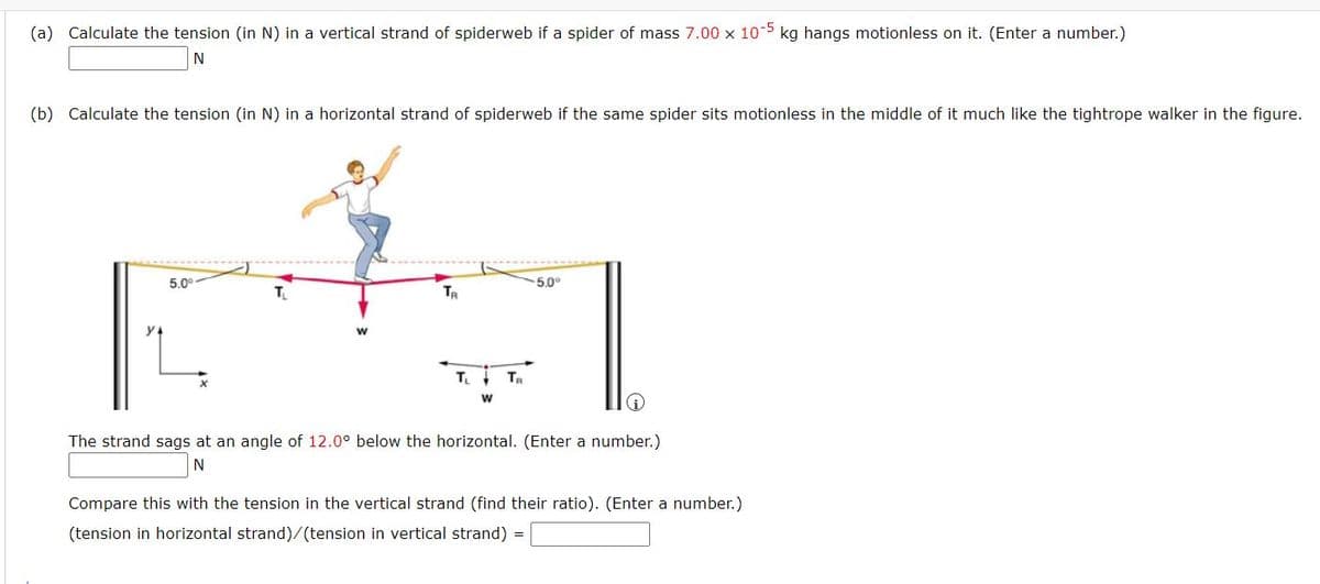(a) Calculate the tension (in N) in a vertical strand of spiderweb if a spider of mass 7.00 x 10-5 kg hangs motionless on it. (Enter a number.)
(b) Calculate the tension (in N) in a horizontal strand of spiderweb if the same spider sits motionless in the middle of it much like the tightrope walker in the figure.
5.0°
5.0
TR
y
T Ta
The strand sags at an angle of 12.0° below the horizontal. (Enter a number.)
N
Compare this with the tension in the vertical strand (find their ratio). (Enter a number.)
(tension in horizontal strand)/(tension in vertical strand) =
