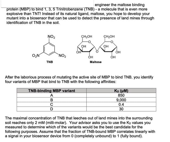 engineer the maltose binding
protein (MBP) to bind 1, 3, 5 Trinitrobenzene (TNB) - a molecule that is even more
explosive than TNT! Instead of its natural ligand, maltose, you hope to develop your
mutant into a biosensor that can be used to detect the presence of land mines through
identification of TNB in the soil.
NO₂
CH₂OH
CH₂OH
OH
OH
å ove
O₂N
NO₂
OH
OH
Maltose
TNB
OH
After the laborious process of mutating the active site of MBP to bind TNB, you identify
four variants of MBP that bind to TNB with the following affinities:
TNB-binding MBP variant
A
B
C
D
KD (μm)
850
9,000
0.4
30
The maximal concentration of TNB that leeches out of land mines into the surrounding
soil reaches only 2 mM (milli-molar). Your advisor asks you to use the Ko values you
measured to determine which of the variants would be the best candidate for the
following purposes. Assume that the fraction of TNB-bound MBP correlates linearly with
a signal in your biosensor device from 0 (completely unbound) to 1 (fully bound).