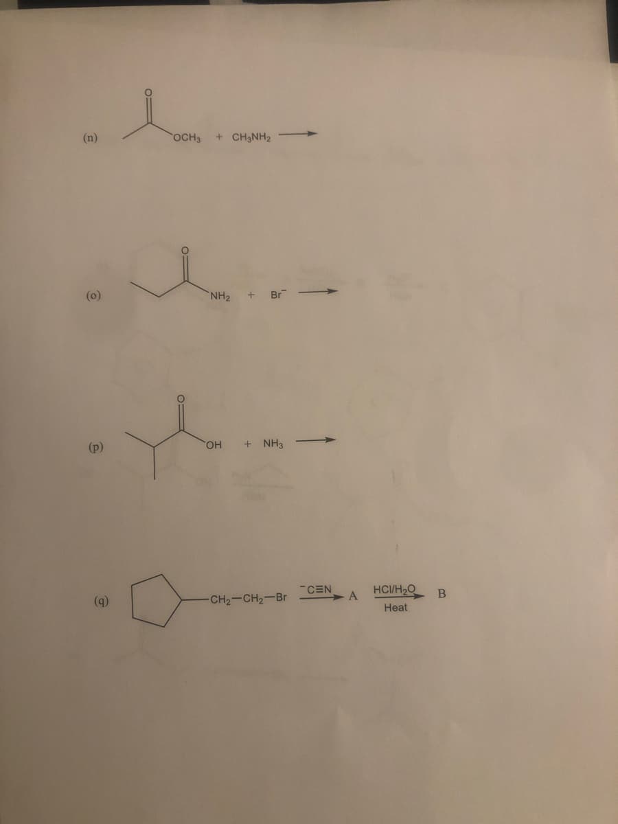 (n)
(0)
(p)
leav
OCH3
+ CH3NH₂
NH₂
+ Br
OH + NH3
-CH₂-CH₂-Br
CEN
A
HCI/H₂O
Heat
B