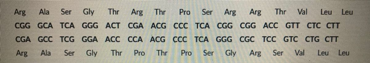 Arg Ala
Ser
Gly
Thr
Arg
Thr Pro Ser
Arg
Arg
Thr Val Leu Leu
CGG GCA TCA GGG ACT CGA ACG CCC TCA CGG CGG ACC GTT CTC CTT
CGA GCC TCG GGA ACC CCA ACG CCC TCA GGG CGC TCC GTC CTG CTT
Arg
Ala
Ser
Gly
Thr
Pro
Thr
Pro Ser
Gly
Arg
Ser Val Leu Leu
