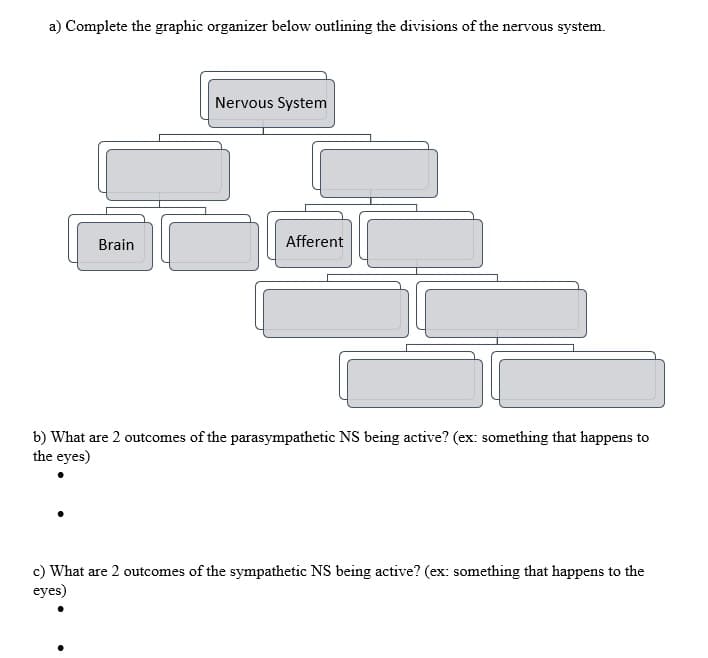 a) Complete the graphic organizer below outlining the divisions of the nervous system.
Nervous System
Brain
Afferent
b) What are 2 outcomes the parasympathetic NS being active? (ex: something that happens to
the eyes)
c) What are 2 outcomes of the sympathetic NS being active? (ex: something that happens to the
eyes)