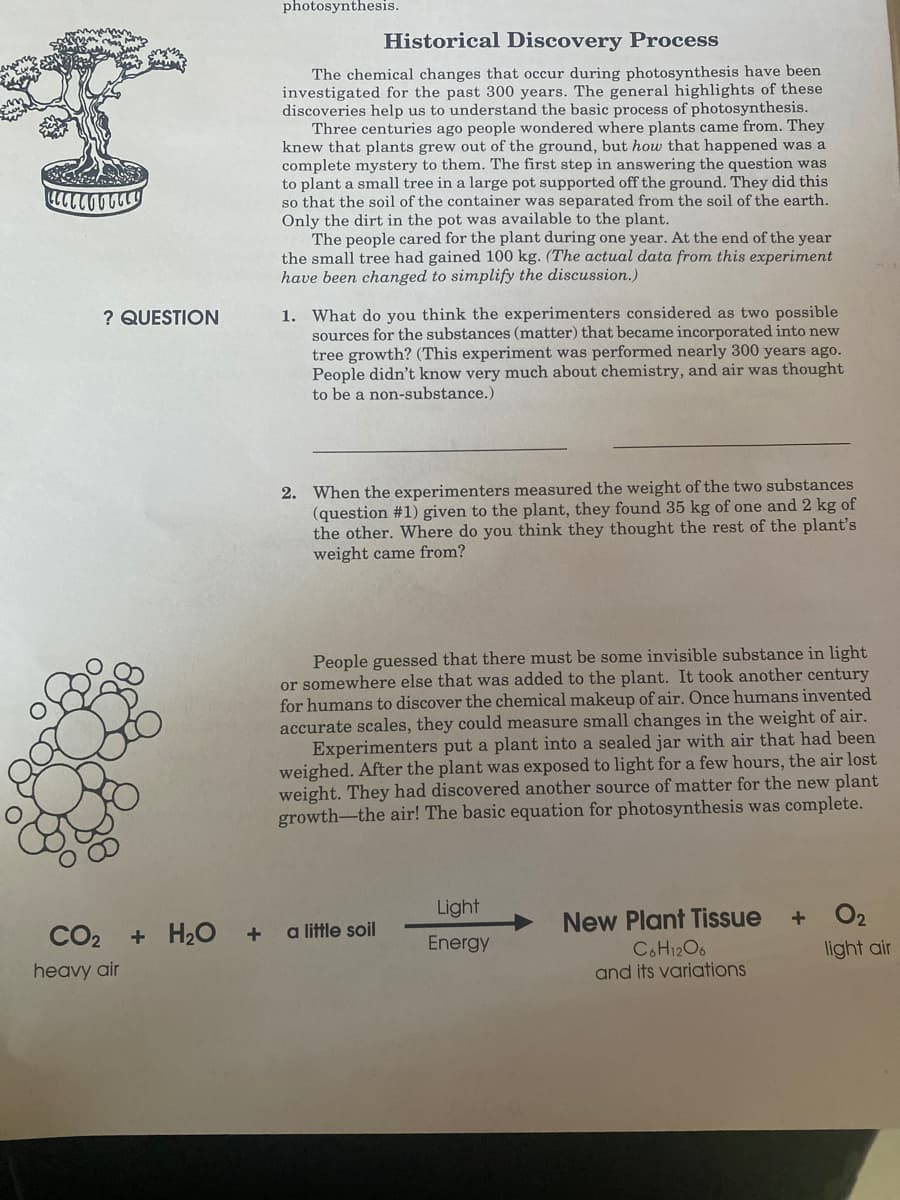 photosynthesis.
Historical Discovery Process
The chemical changes that occur during photosynthesis have been
investigated for the past 300 years. The general highlights of these
discoveries help us to understand the basic process of photosynthesis.
Three centuries ago people wondered where plants came from. They
knew that plants grew out of the ground, but how that happened was a
complete mystery to them. The first step in answering the question was
to plant a small tree in a large pot supported off the ground. They did this
so that the soil of the container was separated from the soil of the earth.
Only the dirt in the pot was available to the plant.
The people cared for the plant during one year. At the end of the year
the small tree had gained 100 kg. (The actual data from this experiment
have been changed to simplify the discussion.)
1. What do you think the experimenters considered as two possible
sources for the substances (matter) that became incorporated into new
tree growth? (This experiment was performed nearly 300 years ago.
People didn't know very much about chemistry, and air was thought
to be a non-substance.)
? QUESTION
2. When the experimenters measured the weight of the two substances
(question #1) given to the plant, they found 35 kg of one and 2 kg of
the other. Where do you think they thought the rest of the plant's
weight came from?
People guessed that there must be some invisible substance in light
or somewhere else that was added to the plant. It took another century
for humans to discover the chemical makeup of air. Once humans invented
accurate scales, they could measure small changes in the weight of air.
Experimenters put a plant into a sealed jar with air that had been
weighed. After the plant was exposed to light for a few hours, the air lost
weight. They had discovered another source of matter for the new plant
growth-the air! The basic equation for photosynthesis was complete.
Light
O2
New Plant Tissue
COH12O6
and its variations
CO2 + H2O+
a little soil
Energy
light air
heavy air
