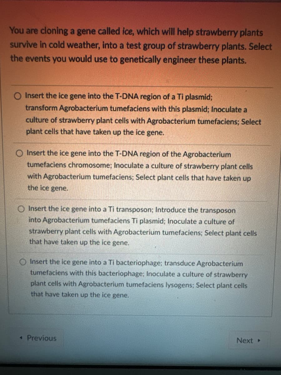 You are cloning a gene called ice, which will help strawberry plants
survive in cold weather, into a test group of strawberry plants. Select
the events you would use to genetically engineer these plants.
Insert the ice gene into the T-DNA region of a Ti plasmid;
transform Agrobacterium tumefaciens with this plasmid; Inoculate a
culture of strawberry plant cells with Agrobacterium tumefaciens; Select
plant cells that have taken up the ice gene.
Insert the ice gene into the T-DNA region of the Agrobacterium
tumefaciens chromosome; Inoculate a culture of strawberry plant cells
with Agrobacterium tumefaciens; Select plant cells that have taken up
the ice gene.
O Insert the ice gene into a Ti transposon; Introduce the transposon
into Agrobacterium tumefaciens Ti plasmid: Inoculate a culture of
strawberry plant cells with Agrobacterium tumefaciens: Select plant cells
that have taken up the ice gene.
Insert the ice gene into a Ti bacteriophage; transduce Agrobacterium
tumefaciens with this bacteriophage; Inoculate a culture of strawberry
plant cells with Agrobacterium tumefaciens lysogens; Select plant cells
that have taken up the ice gene.
◄ Previous
Next ▸