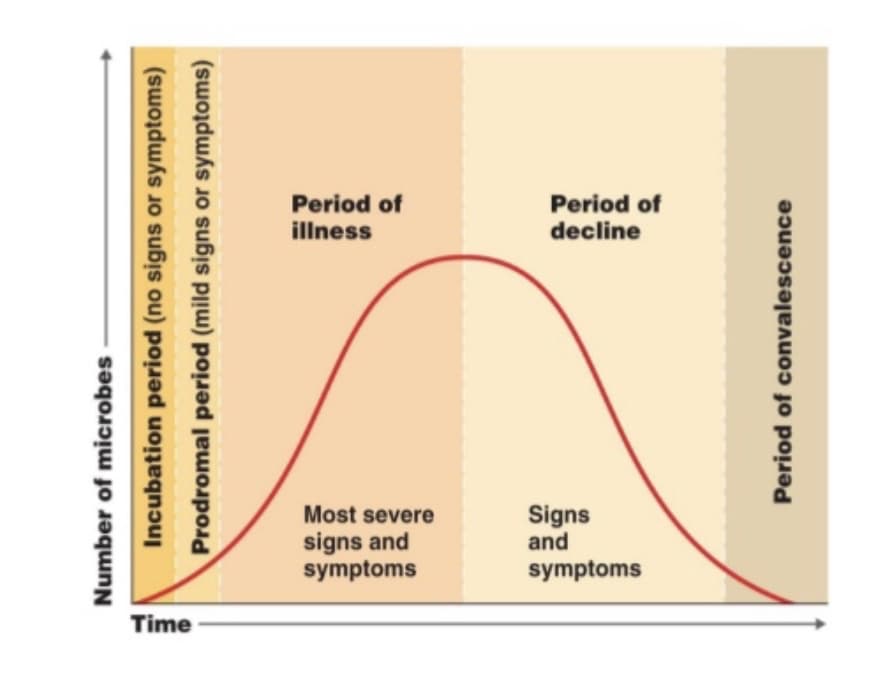 Period of
illness
Period of
decline
Most severe
Signs
and
signs and
symptoms
symptoms
Time
Number of microbes
Incubation period (no signs or symptoms)
Prodromal period (mild signs or symptoms)
Period of convalescence
