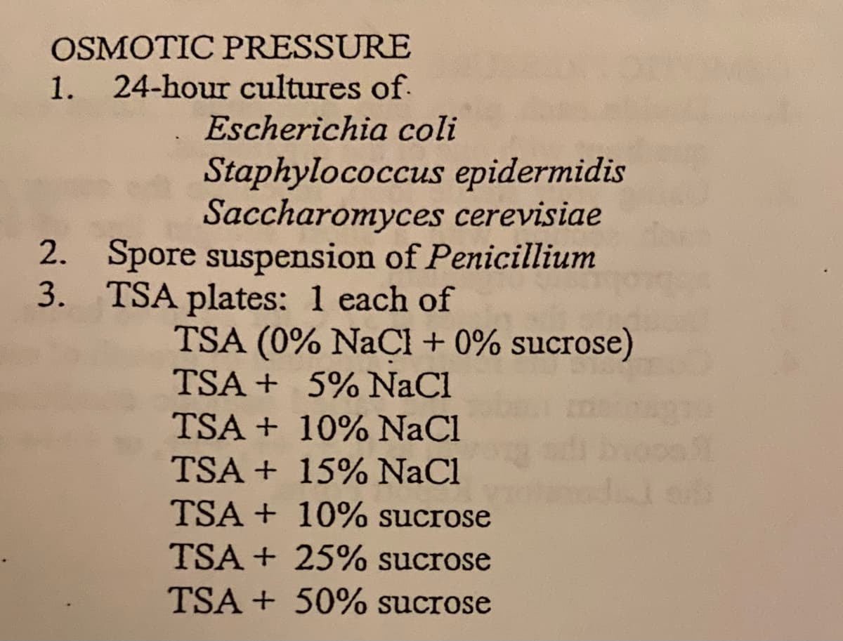 OSMOTIC PRESSURE
1. 24-hour cultures of
Escherichia coli
Staphylococcus epidermidis
Saccharomyces cerevisiae
2. Spore suspension of Penicillium
TSA plates: 1 each of
3.
TSA (0% NaCl + 0% sucrose)
TSA+ 5% NaCl
TSA + 10% NaCl
TSA + 15% NaCl
TSA + 10% sucrose
TSA + 25% sucrose
TSA + 50% sucrose