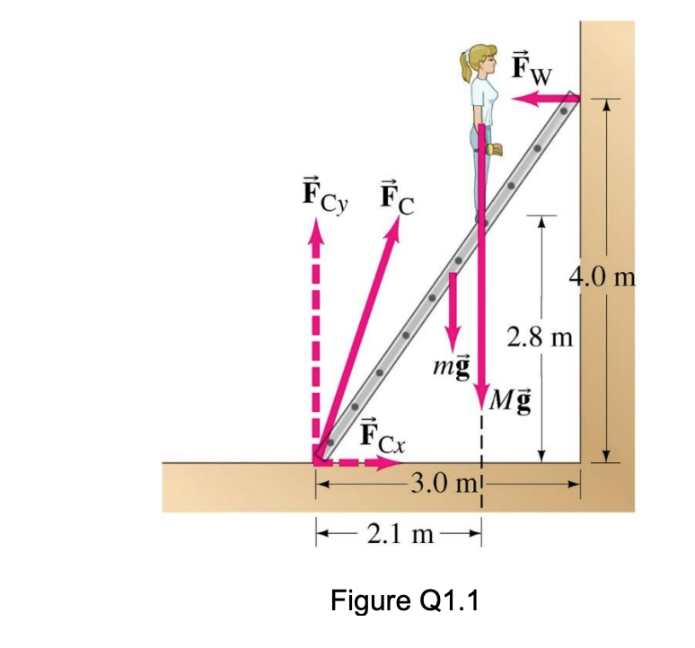 Fcy Fc
4.0 m
2.8 m
mỹ
FCX
-3.0 ml
E 2.1 m
Figure Q1.1
