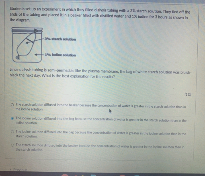 Students set up an experiment in which they filled dialysis tubing with a 3% starch solution. They tied off the
ends of the tubing and placed it in a beaker filled with distilled water and 1% iodine for 3 hours as shown in
the diagram.
3% starch solution
1% lodine solution
Since dialysis tubing is semi-permeable like the plasma membrane, the bag of white starch solution was bluish-
black the next day. What is the best explanation for the results?
(1D)
O The starch solution diffused into the beaker because the concentration of water is greater in the starch solution than in
the iodine solution.
The iodine solution diffused into the bag because the concentration of water is greater in the starch solution than in the
iodine solution.
O The lodine solution diffused into the bag because the concentration of water is greater in the iodine solution than in the
starch solution.
O The starch solution diffused into the beaker because the concentration of water is greater in the iodine solution than in
the starch solution.
Previous
