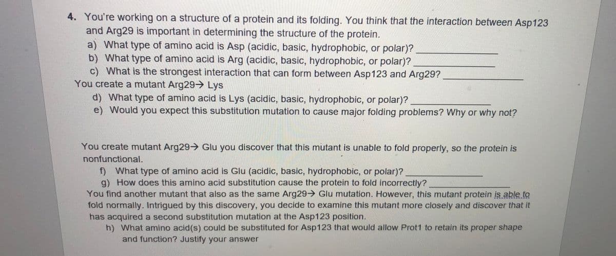 4. You're working on a structure of a protein and its folding. You think that the interaction between Asp123
and Arg29 is important in determining the structure of the protein.
a) What type of amino acid is Asp (acidic, basic, hydrophobic, or polar)?
b) What type of amino acid is Arg (acidic, basic, hydrophobic, or polar)?
c) What is the strongest interaction that can form between Asp123 and Arg29?
You create a mutant Arg29> Lys
d) What type of amino acid is Lys (acidic, basic, hydrophobic, or polar)?
e) Would you expect this substitution mutation to cause major folding problems? Why or why not?
You create mutant Arg29> Glu you discover that this mutant is unable to fold properly, so the protein is
nonfunctional.
f What type of amino acid is Glu (acidic, basic, hydrophobic, or polar)?
g) How does this amino acid substitution cause the protein to fold incorrectly?
You find another mutant that also as the same Arg29> Glu mutation. However, this mutant protein įs able to
fold normally. Intrigued by this discovery, you decide to examine this mutant more closely and discover that it
has acquired a second substitution mutation at the Asp123 position.
h) What amino acid(s) could be substituted for Asp123 that would allow Prot1 to retain its proper shape
and function? Justify your answer
