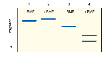 2
3
4
- BME
+BME
- BME
+BME
mlgration
