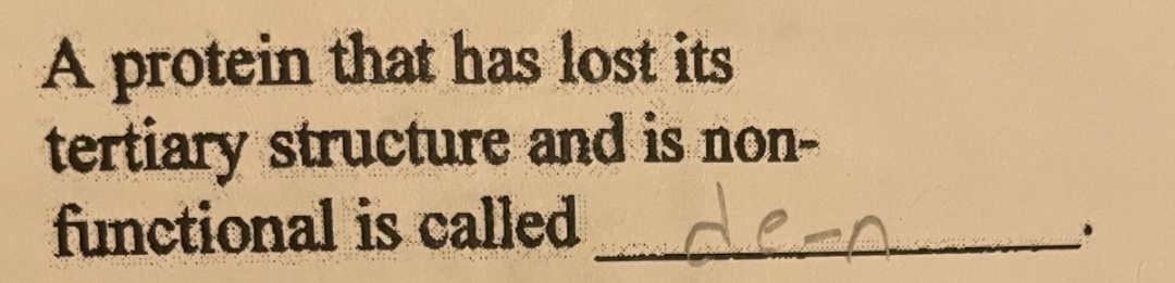 A protein that has lost its
tertiary structure and is non-
functional is called de-n