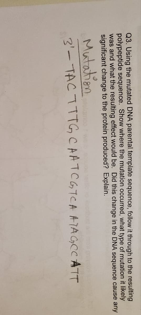 Q3. Using the mutated DNA parental template sequence, follow it through to the resulting
polypeptide sequence. Show where the mutation occurred, what type of mutation it likely
was and what the resulting effect would be. Did this change in the DNA sequence cause any
significant change to the protein produced? Explain.
Mutation
3'-TAC TTTG CAATCGTCA ATAGCCATT