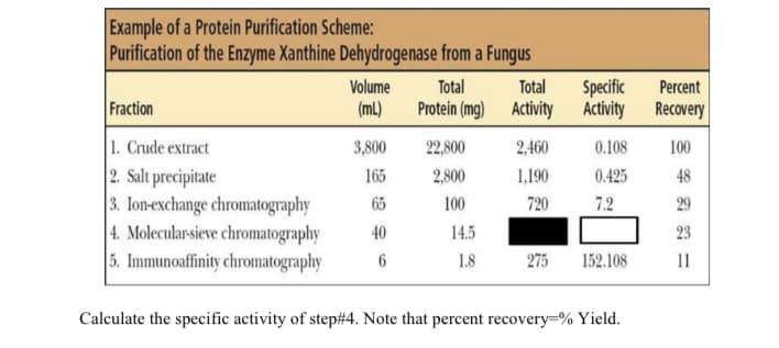 Example of a Protein Purification Scheme:
Purification of the Enzyme Xanthine Dehydrogenase from a Fungus
Volume
Total
Total
Specific
Percent
Fraction
(mL)
Protein (mg) Activity Activity
Recovery
1. Crude extract
2. Salt precipitate
3. Ion-exchange chromatography
|4. Molecular-sieve chromatography
5. Immunoaffinity chromatography
3,800
22,800
2,460
0.108
100
165
2,800
1,190
0.425
48
65
100
720
7.2
29
40
14.5
23
1.8
275
152.108
11
Calculate the specific activity of step#4. Note that percent recovery=% Yield.
