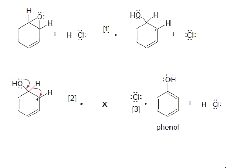 Н
н
н
[1]
+ н-С:
:CI:
но
н
:ӧн
н
[2]
:CI:
+ н-C:
АААОДАМ»
phenol
+.
:O:
:ö
