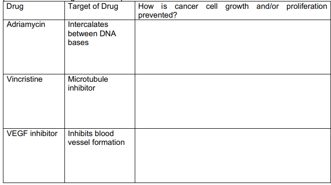 Drug
Adriamycin
Vincristine
Target of Drug
Intercalates
between DNA
bases
Microtubule
inhibitor
VEGF inhibitor Inhibits blood
vessel formation
How is cancer cell growth and/or proliferation
prevented?