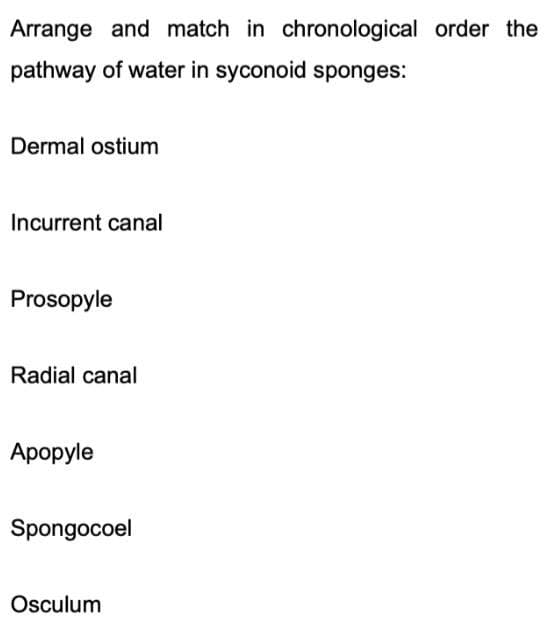 Arrange and match in chronological order the
pathway of water in syconoid sponges:
Dermal ostium
Incurrent canal
Prosopyle
Radial canal
Apopyle
Spongocoel
Osculum
