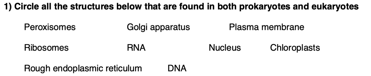 1) Circle all the structures below that are found in both prokaryotes and eukaryotes
Peroxisomes
Golgi apparatus
Plasma membrane
Ribosomes
RNA
Nucleus
Chloroplasts
Rough endoplasmic reticulum
DNA
