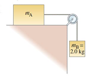 Mg =
2.0 kg
