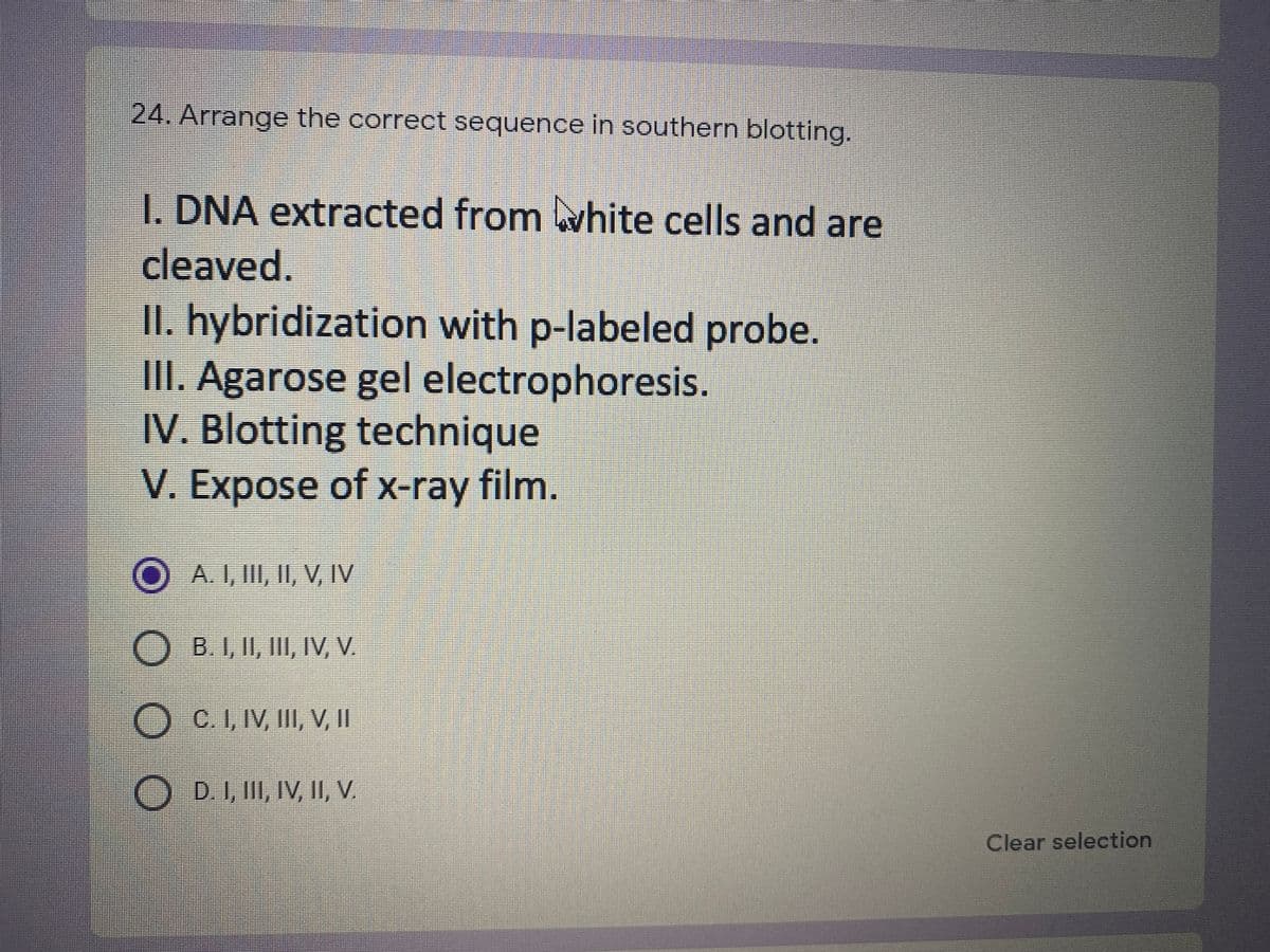24. Arrange the correct sequence in southern blotting.
I. DNA extracted from white cells and are
cleaved.
II. hybridization with p-labeled probe.
III. Agarose gel electrophoresis.
IV. Blotting technique
V. Expose of x-ray film.
O A. I, III, II, V, IV
) B.I, II, III, IV, V.
OC.I, IV, III, V, II
D. I, III, IV, II, V.
Clear selection
O O O
