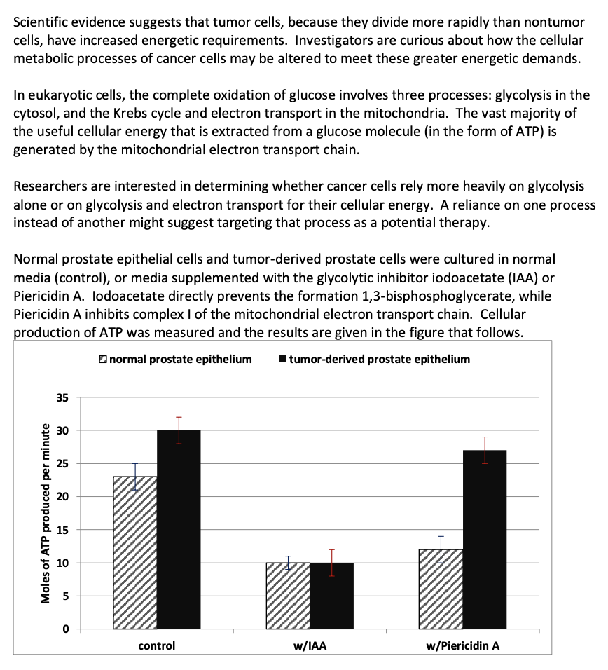 Scientific evidence suggests that tumor cells, because they divide more rapidly than nontumor
cells, have increased energetic requirements. Investigators are curious about how the cellular
metabolic processes of cancer cells may be altered to meet these greater energetic demands.
In eukaryotic cells, the complete oxidation of glucose involves three processes: glycolysis in the
cytosol, and the Krebs cycle and electron transport in the mitochondria. The vast majority of
the useful cellular energy that is extracted from a glucose molecule (in the form of ATP) is
generated by the mitochondrial electron transport chain.
Researchers are interested in determining whether cancer cells rely more heavily on glycolysis
alone or on glycolysis and electron transport for their cellular energy. A reliance on one process
instead of another might suggest targeting that process as a potential therapy.
Normal prostate epithelial cells and tumor-derived prostate cells were cultured in normal
media (control), or media supplemented with the glycolytic inhibitor iodoacetate (IAA) or
Piericidin A. lodoacetate directly prevents the formation 1,3-bisphosphoglycerate, while
Piericidin A inhibits complex I of the mitochondrial electron transport chain. Cellular
production of ATP was measured and the results are given in the figure that follows.
tumor-derived prostate epithelium
normal prostate epithelium
Moles of ATP produced per minute
35
30
25
20
15
10
сл
0
control
w/IAA
w/Piericidin A