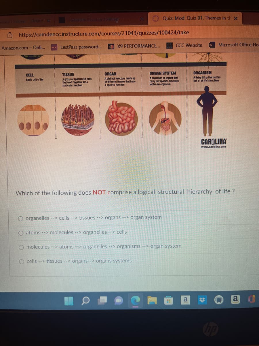 https://camdencc.instructure.com/courses/21043/quizzes/100424/take
Amazon.com - Onli...
CELL
Basic unit of le
...LastPass password...
TISSUE
A group of specialized cells
that work together for a
particular function
X9 PERFORMANCE...
Quiz: Mod. Quiz 01. Themes in th x
ORGAN
A distinct structure made up
of different tissues that have
a specific function
CCC Website
ORGAN SYSTEM
A collection of organs that
carry t specific functions
within an organisa
O organelles --> cells --> tissues --> organs --> organ system
O atoms-> molecules --> organelles --> cells
O molecules --> atoms --> organelles organisms --> organ system
Ocells --> tissues --> organs--> organs systems
a
Microsoft Office Ho
ORGANISM
Aving thing that carries
out all of life's functions
Which of the following does NOT comprise a logical structural hierarchy of life?
CAROLINA
www.carolina.com
NO
a