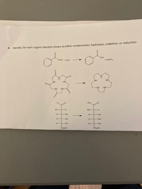 4. Identify the main organic reaction shown as either condensation, hydrolysis, oxidation, or reduction:
NH
NH
OCH₂ + H₂O
HO-
H-
H-
H-
HN-
-H
OH
OH
OH
CH₂OH
1
HO.
HO-
H-
H
H-
-NH
H
OH
OH
OH
CH₂OH
+HOCH,