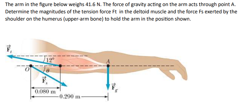 The arm in the figure below weighs 41.6 N. The force of gravity acting on the arm acts through point A.
Determine the magnitudes of the tension force Ft in the deltoid muscle and the force Fs exerted by the
shoulder on the humerus (upper-arm bone) to hold the arm in the position shown.
12°
0.080 m
-0.290 m
Th