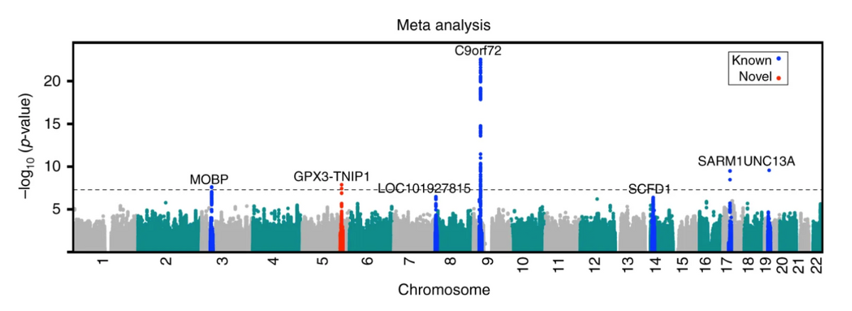 Meta analysis
C9orf72
Known •
20
Novel •
15
10
SARM1UNC13A
МОВР
GPX3-TNIP1
-LOC101927815-
SCFD1
5
LO
Chromosome
-log10 (p-value)
3
6
11
12
13
14
15
