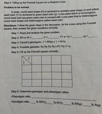 Part I: Filing up the Punnett Square for a Dihybrid Cross
Problem to be solved:
In peas, round seed shape (R) is dominant to wrinkled seed shape (r) and yellow
seed color (Y) is dominant to green seed color (y). A pea plant which is homozygous
round seed and has green seed color is crossed with a pea plant that is heterozygous
round seed shape and heterozygous yellow seed color.
Directions: Follow the given steps in the discussion, do the aross using the Punnett
square,
Step 1: Read and analyze the given problem.
then answer the given questions correctly.
Step 2: RR or Rr=
YY or Yy yy=
Step 3: Parent's genotypes: 8= RRyy x = RrYy
Step 4: Possible gametes: Ry Ry Ry Ry x RY Ry rY ry
%3D
Step 5: Fill up the Punnett square correctly.
Step 6: Determine genotypic and phenotypic ratios.
-Phenotypic ratio:
Genotypic ratio:
% RRYY
% RIYy.
% RRyy.
% Rryy
