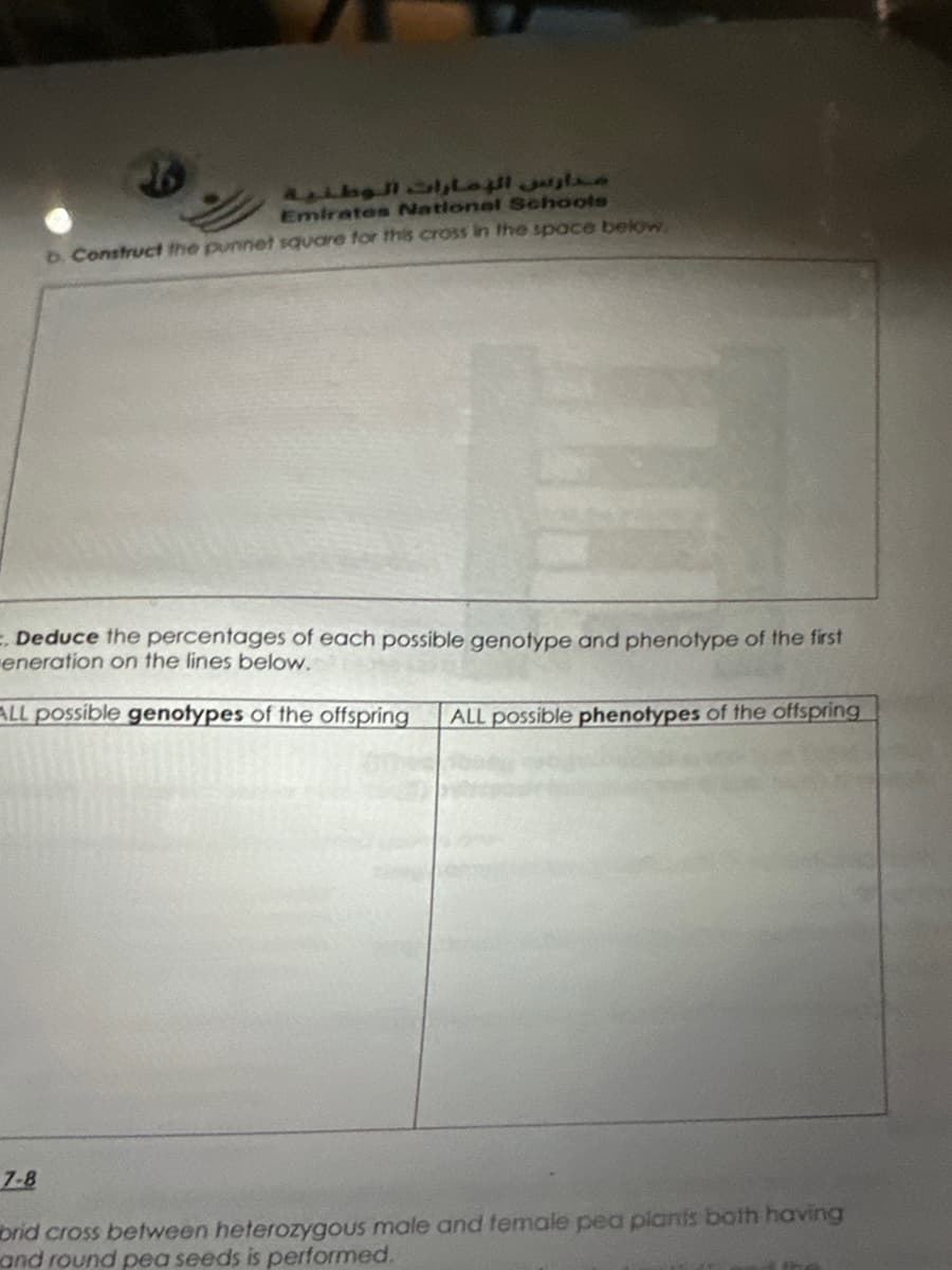 مدارس الإمارات الوطنية
Emirates National Schools
b. Construct the punnet square for this cross in the space below
Deduce the percentages of each possible genotype and phenotype of the first
eneration on the lines below.
ALL possible genotypes of the offspring
ALL possible phenotypes of the offspring
7-8
brid cross between heterozygous male and female pea plants both having
and round pea seeds is performed.