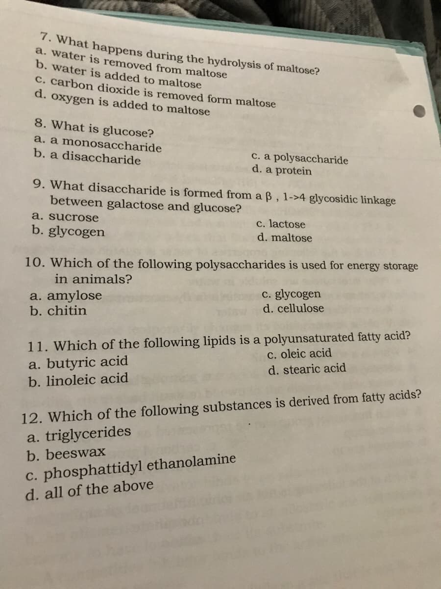 7. What happens during the hydrolysis of maltose?
a. water is removed from maltose
b. water is added to maltose
c. carbon dioxide is removed form maltose
d. oxygen is added to maltose
8. What is glucose?
a. a monosaccharide
b. a disaccharide
9. What disaccharide is formed from a ß, 1->4 glycosidic linkage
between galactose and glucose?
a. sucrose
b. glycogen
c. a polysaccharide
d. a protein
a. amylose
b. chitin
10. Which of the following polysaccharides is used for energy storage
in animals?
c. lactose
d. maltose
c. phosphattidyl ethanolamine
d. all of the above
c. glycogen
d. cellulose
11. Which of the following lipids is a polyunsaturated fatty acid?
a. butyric acid
b. linoleic acid
c. oleic acid
d. stearic acid
12. Which of the following substances is derived from fatty acids?
a. triglycerides
b. beeswax